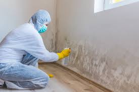 Best Mold Odor Removal Services in Chilhowie, VA